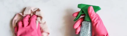 Image of hands in pink gloves holding a cloth and spray bottle
